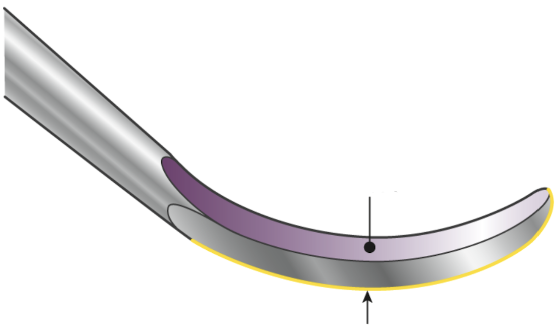 <p>what surface is shaded in purple and what is outlined in yellow?</p>