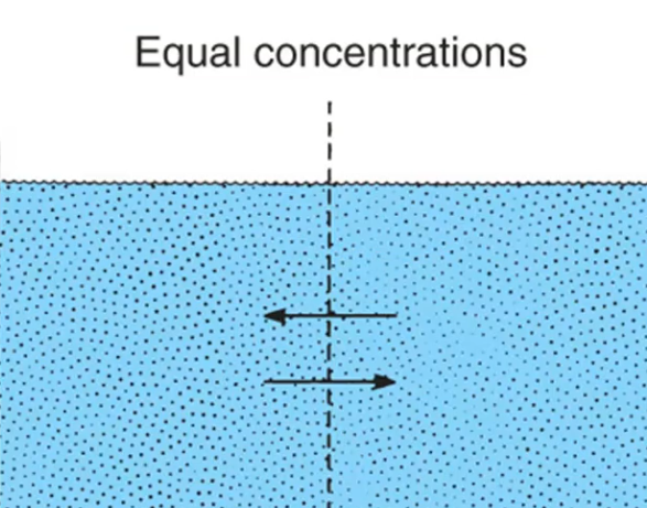 <p>Equal — equal movement in both directions means no net diffusion.</p>