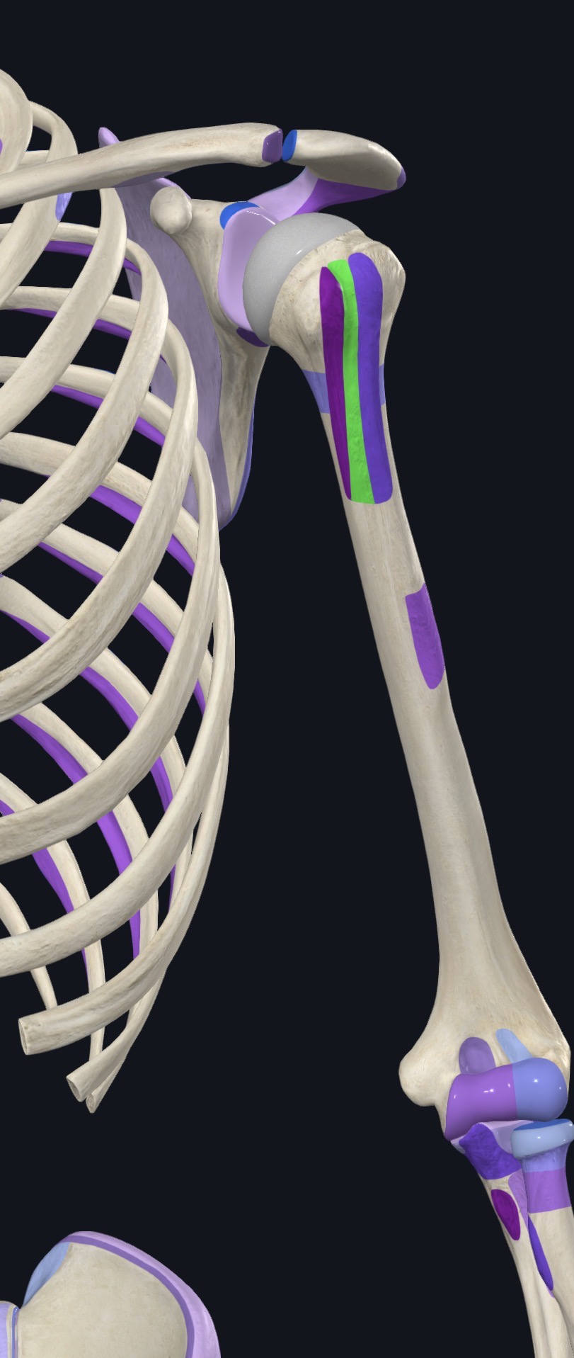 <p>what is this?</p>