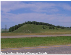<p>A long mound of till that is smoothed in the direction of the glacier's flow.</p>