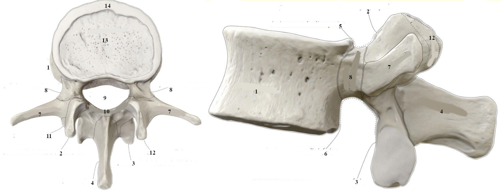 <p>6</p>