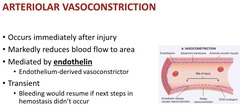 <p>endothelin- endothelium-derived vasoconstrictor; immediately after injury to a blood vessel</p>