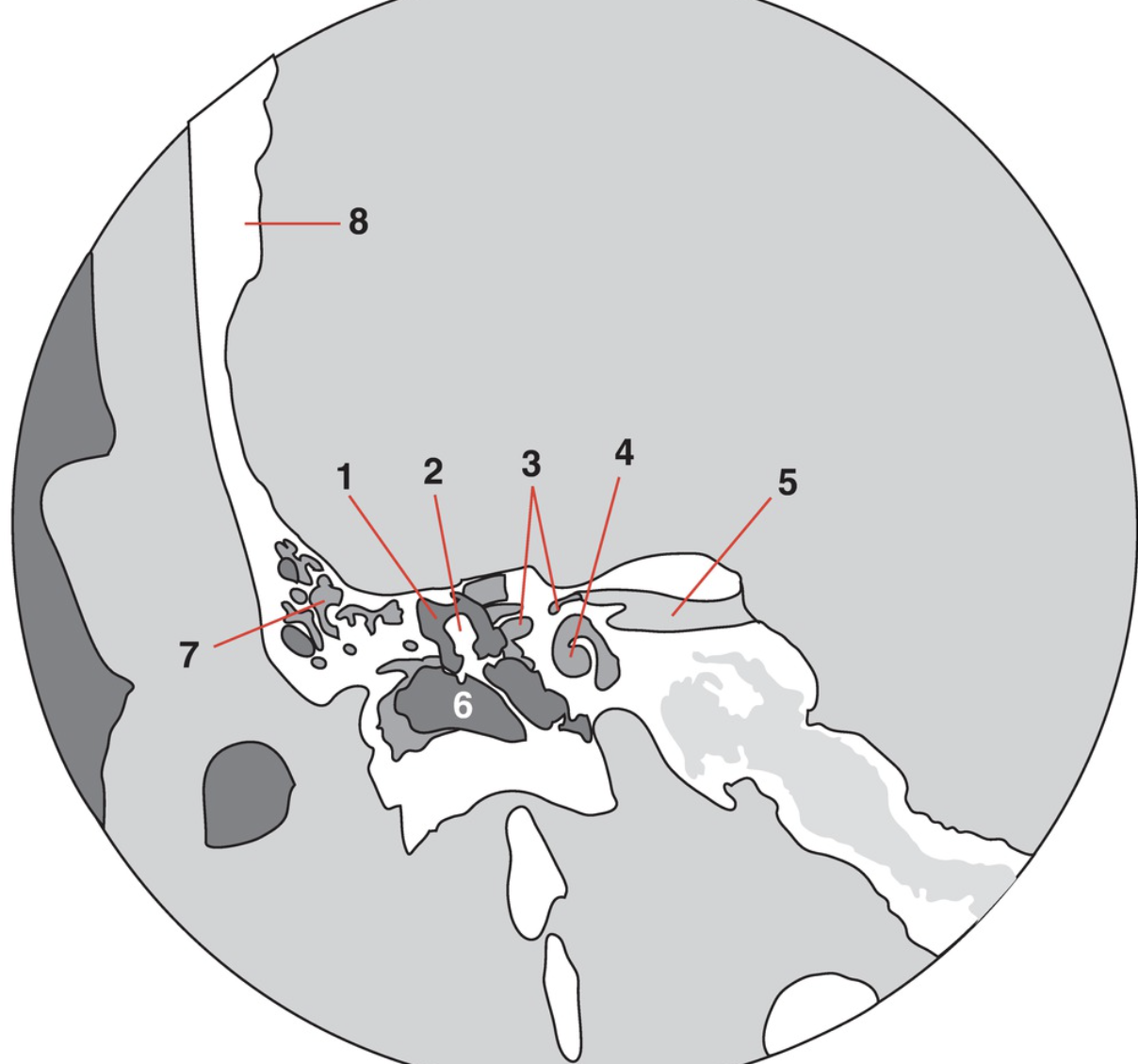 <p>7</p>