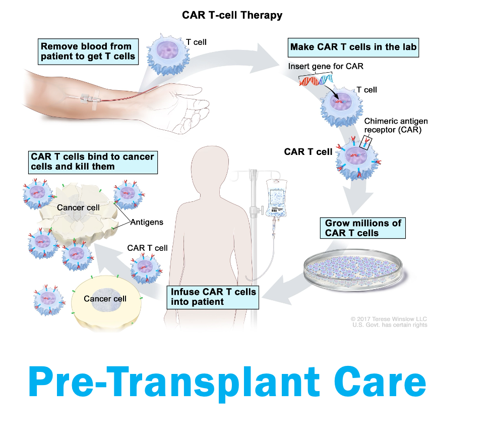 <p><em>Prevention of infection:</em> </p><ul><li><p><strong>Isolation in negative pressure room </strong></p></li><li><p>Limit visitors (caregivers) </p></li><li><p><strong>Admin prophylactic antibiotics and antifungals </strong></p></li><li><p>Frequent hand hygiene </p></li><li><p>Regular CVL site care </p></li><li><p>Daily CHG bathing </p></li><li><p><strong>Admin blood products PRN (d/t anemia) </strong></p></li><li><p>Provide child and family education and support </p></li></ul><p></p>