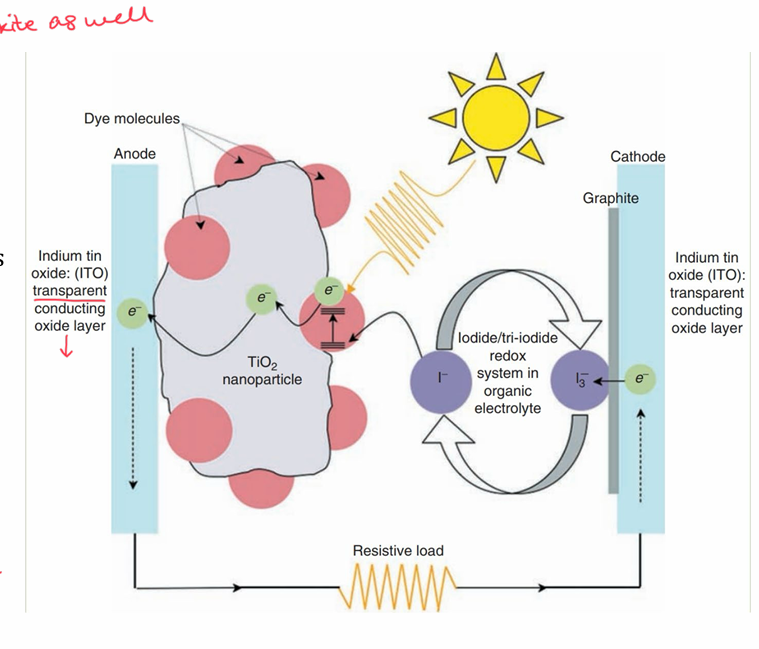 <ul><li><p>dye-sensitive solar cell - DSSC</p></li><li><p>organic dye, like plant chlorophyll, captures photons and transfers energy to electrons  </p></li><li><p>tethered dye molecules absorb photons and transfer energy to titanium dioxide semiconductor nanoparticles</p></li><li><p>visible light absorption is possible </p></li><li><p>DSSC overcomes difficulty in separating absorbers and charge separator materials - prevents recombination of electrons and holes </p></li><li><p>Electron in transition metal complex excited by photon transfer excited electron to conduction band of semiconductor through injection </p></li><li><p>semiconductor - charge carrier for electron transfer from dye molecule </p></li><li><p>max voltage able to deliver is difference between I-/I3 redox couple and Fermi level of semi conductor </p></li><li><p>modifications to cell design, electrolyte, dye materials can further increase cell efficiency </p></li></ul><p></p>