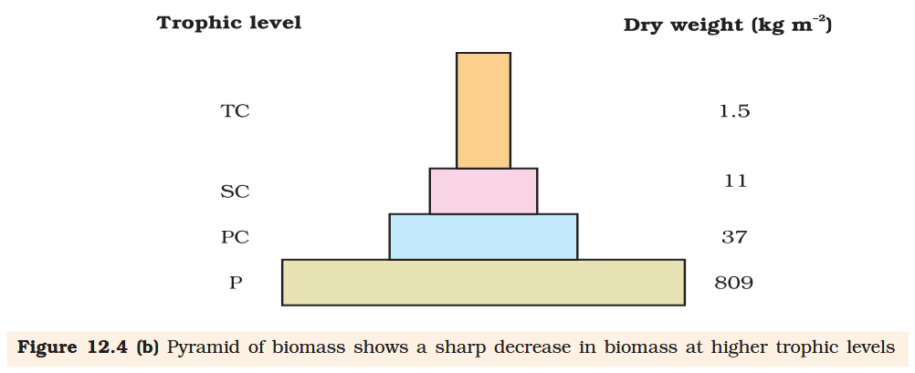 <p>What does P stand for?</p>