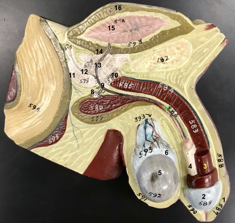 <p>8 and function</p>