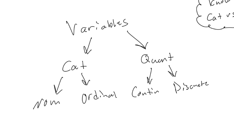 <p>Variable → Categorical (Nominal | Ordinal) or Quantitative (Discrete | Continuous).</p>
