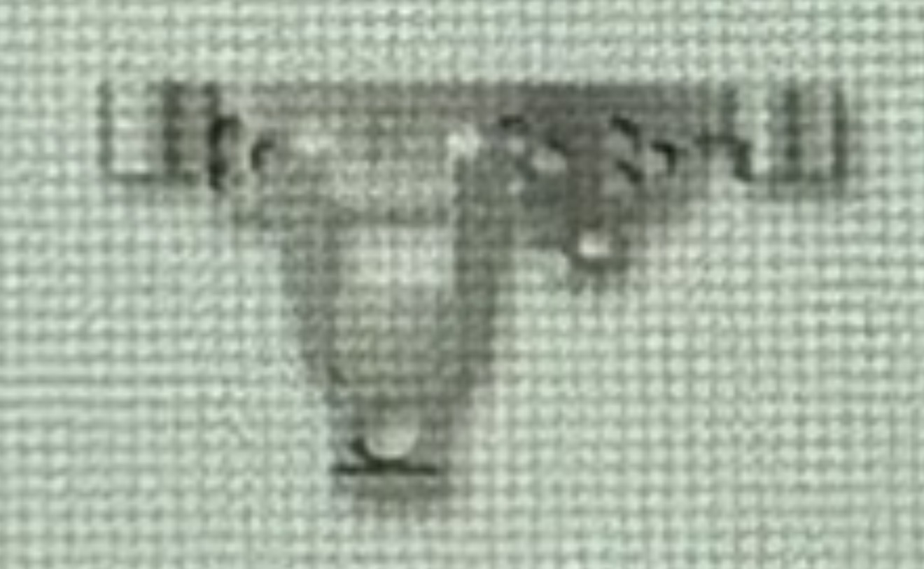 term image