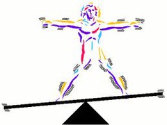 <p>1. maintaining boundaries</p><p>2. movement</p><p>3. responsiveness</p><p>4. growth</p><p>5. digestion</p><p>6. excretion reproduction</p><p>7. metabolism</p>