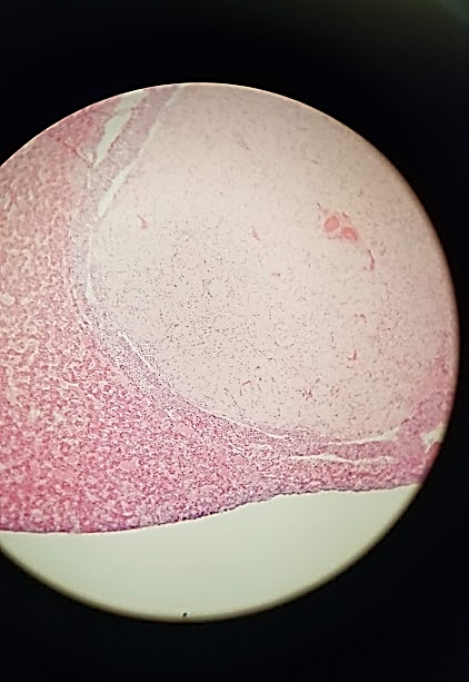 <p>what is this a sample of?</p>