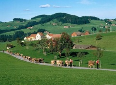 <p>(1) A particular part of a place, town, country, etc. - Khu vực/vùng.</p><p>(2) A subject or field of activity - Lĩnh vực.</p>