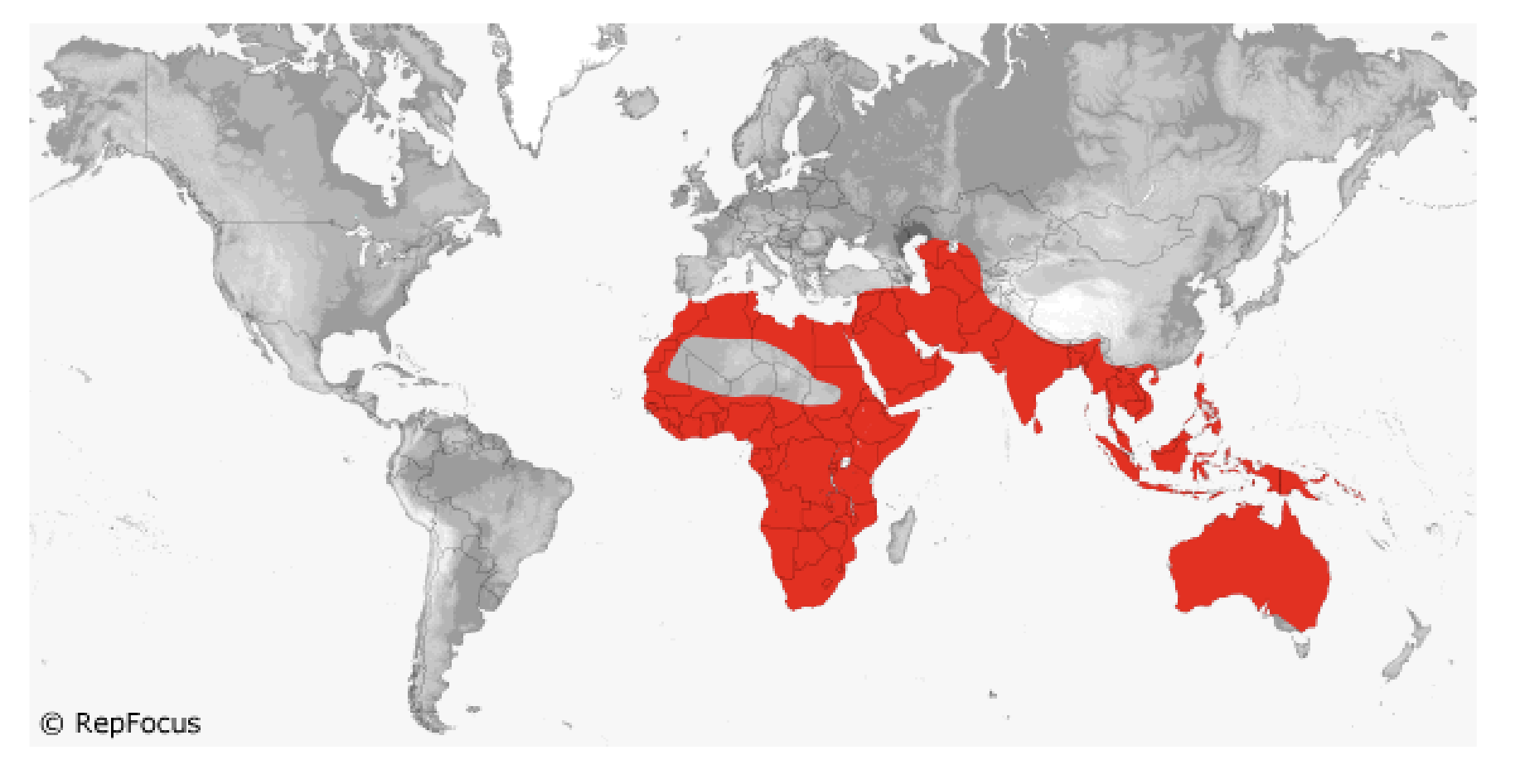 <p><span style="background-color: transparent;">Varanidae </span></p>