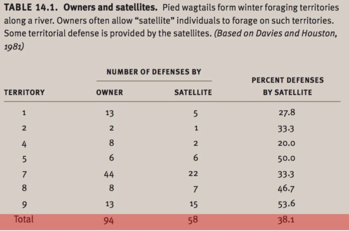 <p>Davies and Houston 1981</p><p>Pied Wagtails were observed in their foraging territories and satellites were counted, defense of the territory by satellites was also measured</p><p>→ Satellites contributed to defense of territory</p><p>→ Satellites were tolerated when food was abundant but not when it was limited</p><p>An example of conditional cooperation</p>
