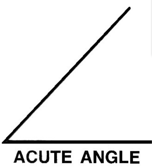 <p>An angle with a measure less than $$90$$ degrees</p>