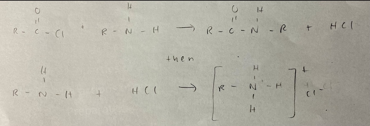 <ul><li><p>an amide and HCl</p></li></ul><ul><li><p>then further reaction of second molecule of amine reacts with HCl to form a salt</p></li></ul><p></p>