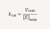 <p>kcat represents the turnover number — how many substrate molecules each enzyme converts per second when saturated</p>