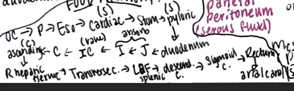 knowt flashcard image