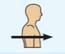 <ul><li><p>Toward or at the front of the body</p></li><li><p>in front of</p></li><li><p>Ex: The breastbone is anterior to the spine</p></li></ul><p></p>