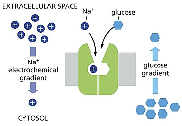 <p>down, against</p>
