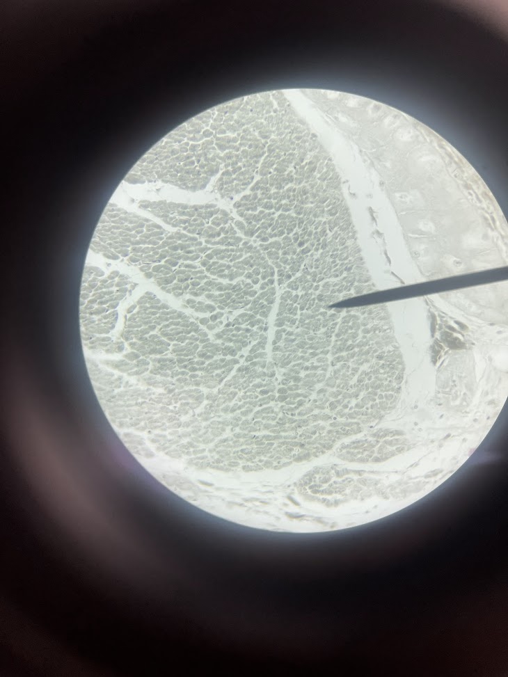 <p>structure name + layer name</p>