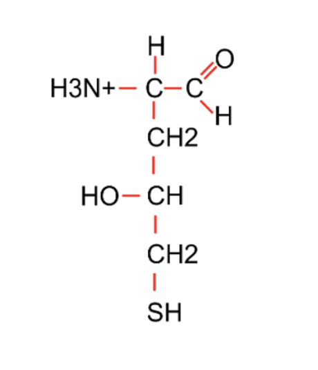 <p>Which of the following chemical groups is <u>not</u> present in the compound in the figure?</p><img src="https://inst-fs-iad-prod.inscloudgate.net/files/d7a2dabd-0f6a-4fe0-bb22-50589a3ce4e0/exam%201-chemical%20groups.png?token=eyJ0eXAiOiJKV1QiLCJhbGciOiJIUzUxMiIsImtpZCI6Im5ldy1xdWl6emVzL21haW4ifQ.eyJyZXNvdXJjZSI6Ii9maWxlcy9kN2EyZGFiZC0wZjZhLTRmZTAtYmIyMi01MDU4OWEzY2U0ZTAvZXhhbSUyMDEtY2hlbWljYWwlMjBncm91cHMucG5nIiwidGVuYW50X2F1dGgiOnsibG9jYXRpb24iOiJiYW5rLzE1MTYwMDAwMDAwMDEwMzc1In0sImV4cCI6MTc3NzIxMDQ5MSwiaWF0IjoxNzc3MTYzNjkxLCJpc3MiOiJuZXctcXVpenplcyIsImF1ZCI6Imh0dHBzOi8vaW5zdC1mcy1pYWQtcHJvZC5pbnNjbG91ZGdhdGUubmV0In0.GmRYwtxcfj5fTJGW6SNuBbsMpCIEe5_H-9Q2ifbKx65oxsE59a064rZOsKZICLNP3DOMEIbu5KrgmlC5Y5o5nQ" data-width="100%" data-align="center" alt=""><p><span>Amino</span></p><p><span>Carboxylic acid</span></p><p><span>Hydroxyl</span></p><p><span>Sulfhydryl</span></p><p><span>All of the above are present</span></p>