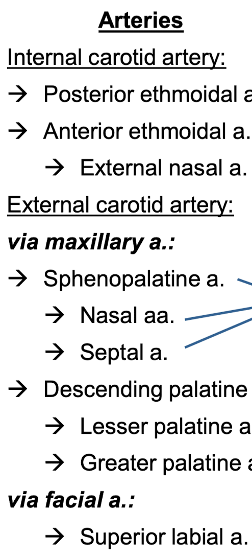 <p>Know the drainage of the vasculature of the nasal cavity.</p>