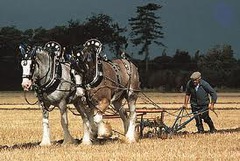 <p>Biologically powered agriculture, in which human and animal muscle power, along with hand tools and simple machines, perform the work of gathering crops.</p>