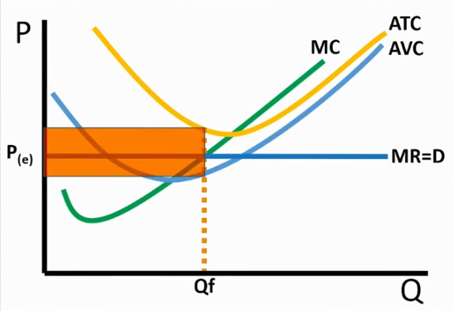 <p>economic loss is less than fixed cost</p><p>→ fixed = red </p>
