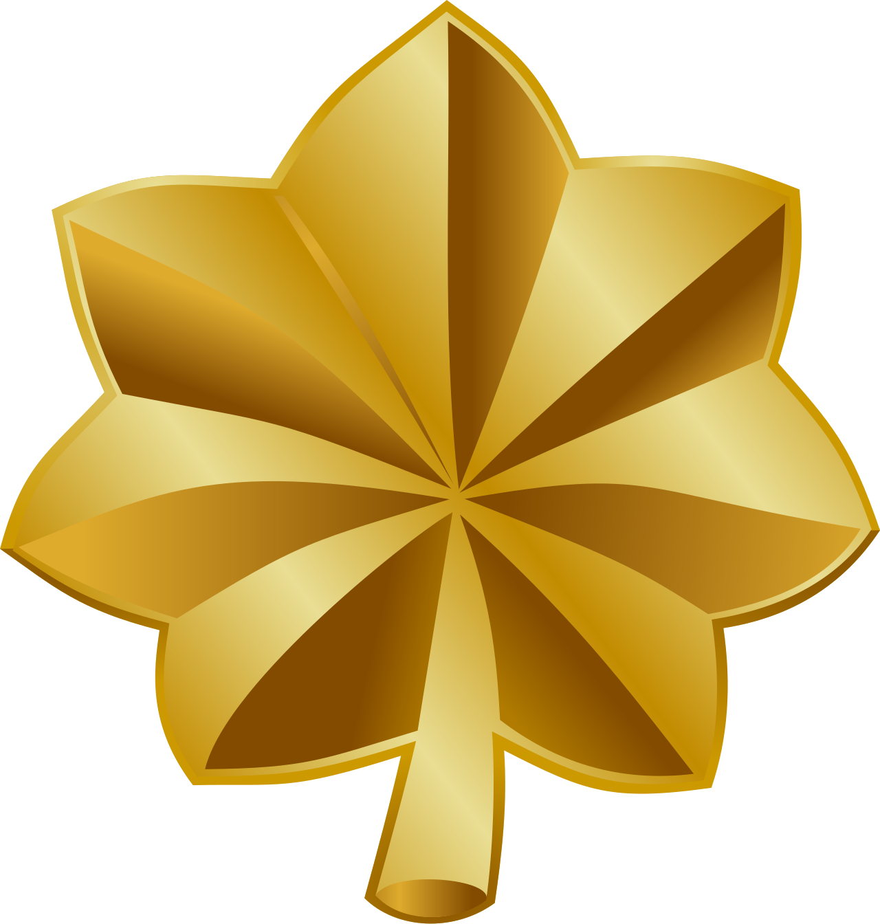 <p>Major (<mark data-color="green" style="background-color: green; color: inherit;">MAJ</mark>, <mark data-color="red" style="background-color: red; color: inherit;">Maj</mark>, <mark data-color="yellow" style="background-color: yellow; color: inherit;">Maj</mark>), 1 Gold Oak Leaf</p>