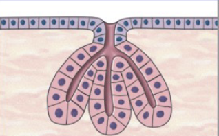 <p>What is this?</p>