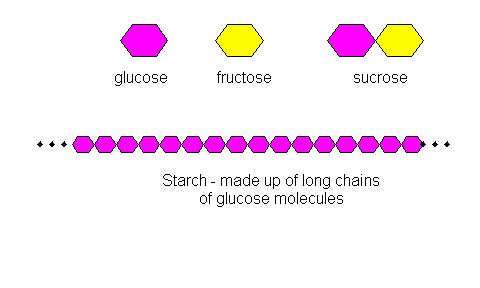 <p>units of sugars You can have <strong>simple carbohydrates </strong>(only the units of <strong>sugars</strong>)<span> and </span><strong>complex carbohydrates </strong>(long chains of simple sugar units bonded together- <strong>starch</strong>/ fiber)</p>