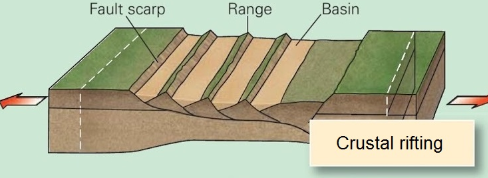 <p>During mountain building, the deformation resulting at any speciﬁc location actually depends on the <strong>stress</strong> developed at that location. Which of the following <strong>kinds of stress</strong> is illustrated in the figure below?</p>