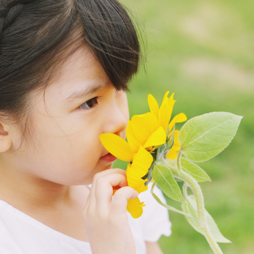 <p>Smell - <em>Smél</em></p>