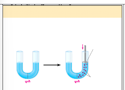 <p><span style="font-family: "Times New Roman", serif;">In the Panel C, what is the water potential on the left side of the U-tube?</span></p>