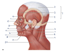 <p>14</p>