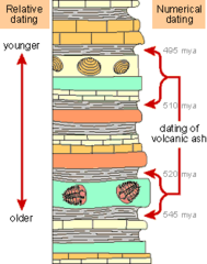 <p>A scale relative to something else, like a ratio.</p>