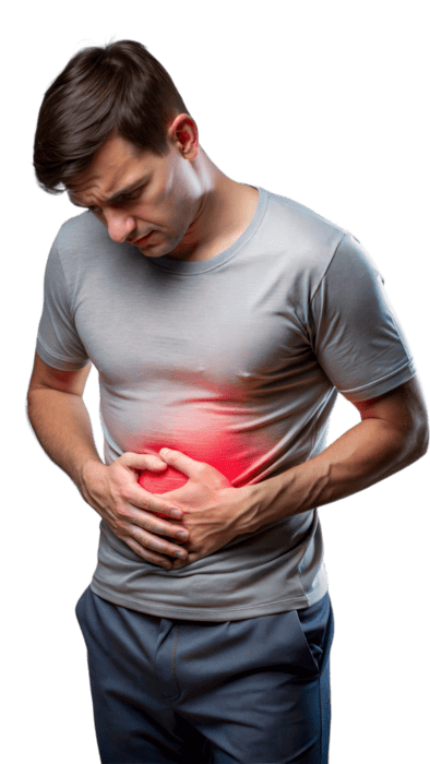 <p>stomach</p>