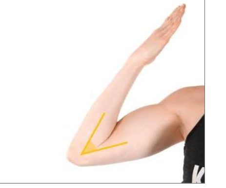 knowt flashcard image