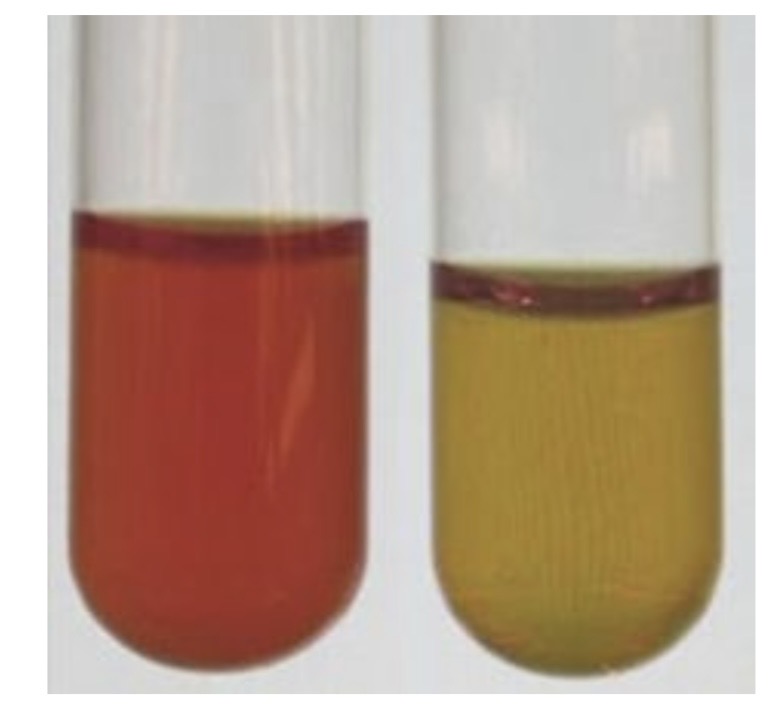 <p>The following tube given to you is “‘mrvp”</p><p>A. What test(s) is performed Using it?</p><p>B. What test determines if the organism is a mixed acid producer? </p><p>C. What is the precursor the other test is looking for? </p>