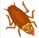 <p><strong>R</strong>oa<strong>Ch</strong></p>