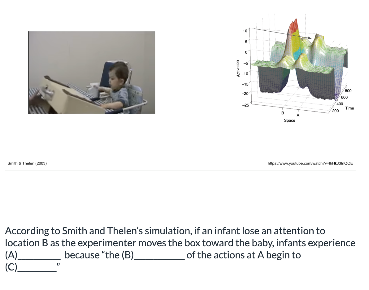 <ol><li><p>A: higher activation at location, B: lingering memory, C: dominate </p></li><li><p>A: lingering memory, B: dominate, C: higher activation at location</p></li></ol><p></p>
