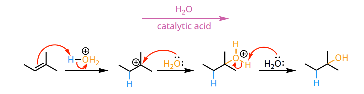 <ul><li><p>regiochemistry: Markovnikov</p></li><li><p>intermediate: carbocation, rearrangements possible</p></li><li><p>reagents: H<sub>3</sub>O<sup>+</sup> / H<sub>2</sub>SO<sub>4</sub> + H<sub>2</sub>O</p></li></ul><p></p>