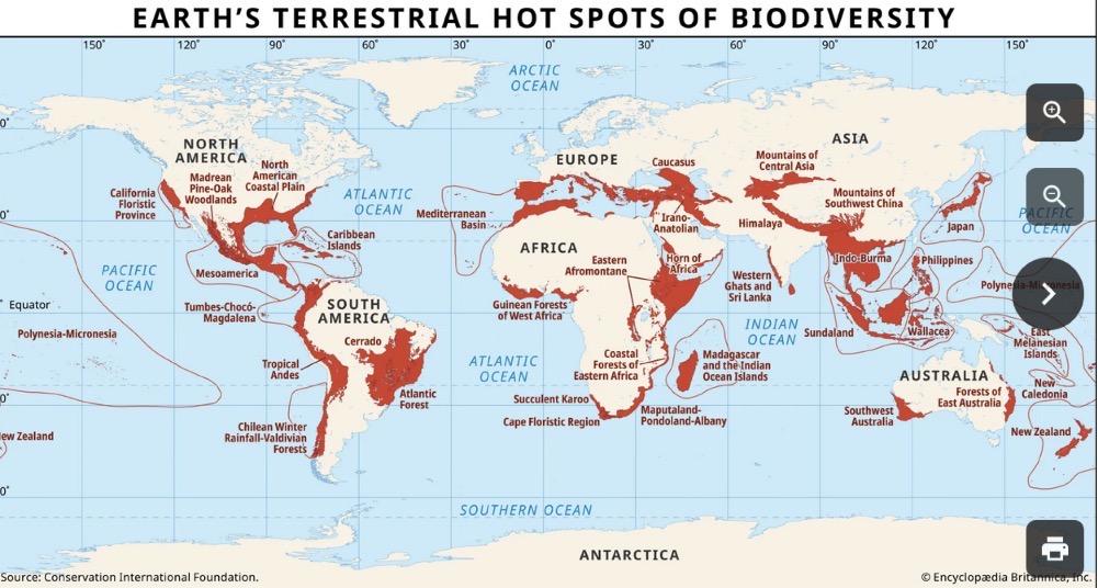 <p>One species or group of species that serves as a guide to many other groups of species that are less well known or less studied (Madagascar-Lemurs )</p>