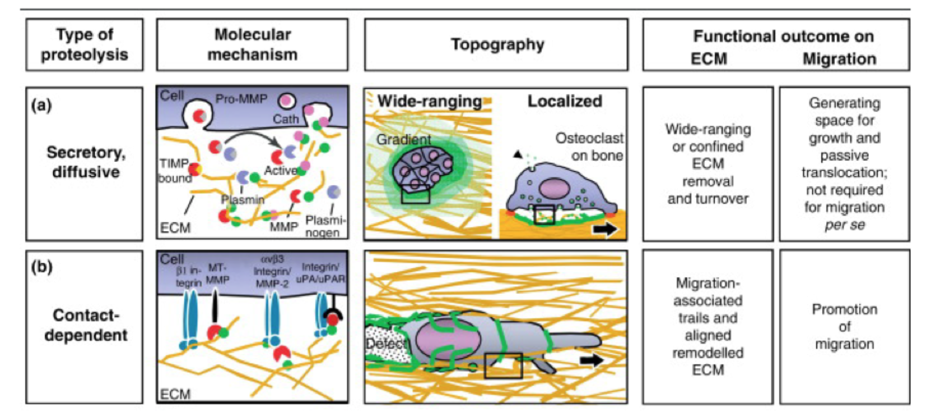 <p>Hvad er hovedpointen med remodellering-sliden?</p>