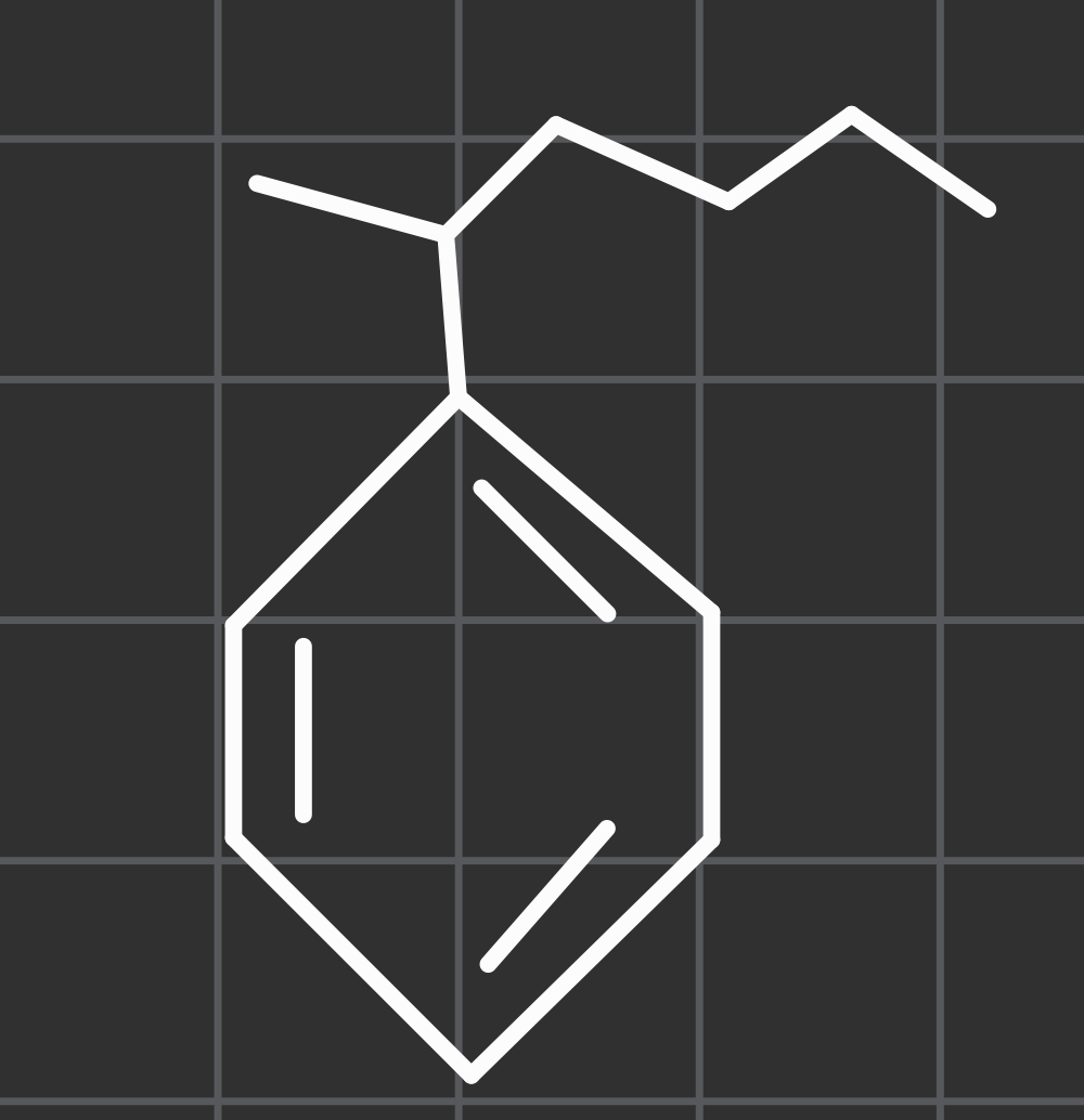 <p>name this functional group</p>