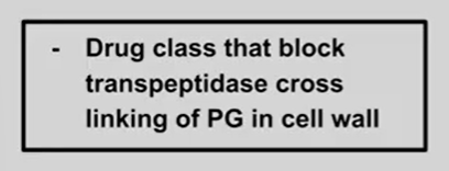 <p>Pencillin, cephalosporin, carbapenem, aztreonam</p>