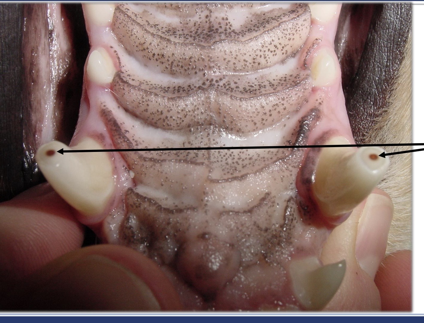 <p>what is this showing?</p>