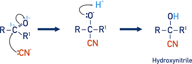 <p>Nucleophilic addition</p>