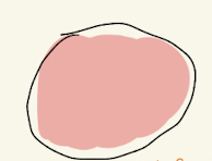 <p>MSA</p>